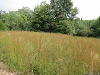 90 Sheldon Hill Rd, Olive, NY 12461-5314