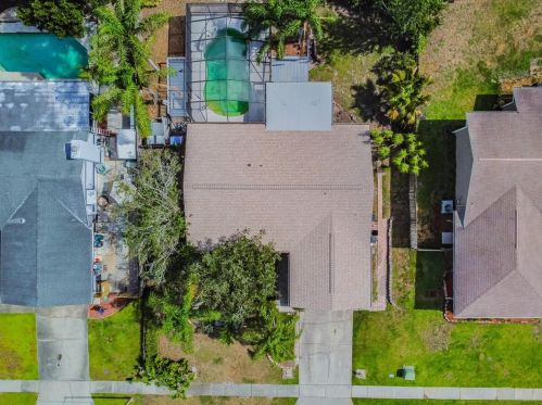 552 Hammock Dr, Palm Harbor, FL 34683-6113