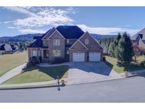 137 Sugarcane Ln, Blountville, TN 37617-4889