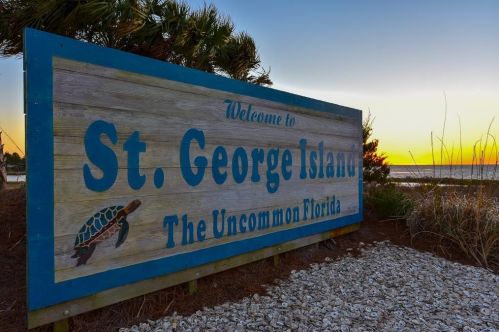 949 Gulf Beach Dr, Saint George Island FL  32328-3002 exterior