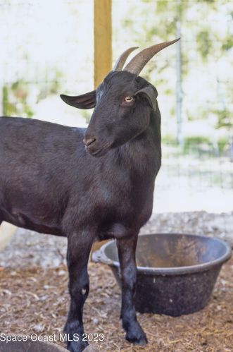 1325 Friday Rd, Cocoa FL  32926-3440 exterior