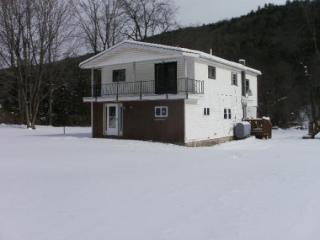 403 Michigan Hollow Rd, West Danby, NY 14883-9748