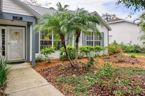 1632 Countrywood St, Tarpon Springs, FL 34689-8038