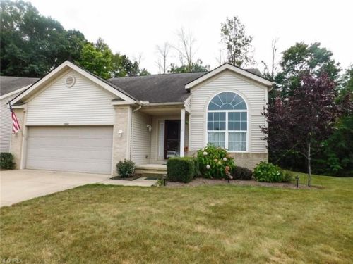 2560 Redtail Ct, Twinsburg, OH 44087-3074