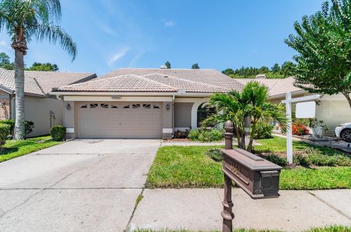 3664 Darston St, Palm Harbor FL  34685-1182 exterior