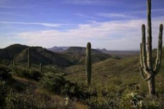 9139 Grapevine Pass, Scottsdale, AZ 85262-3830
