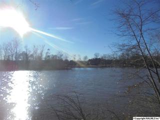 336 Martin Rd, Gadsden, AL 35901-9293