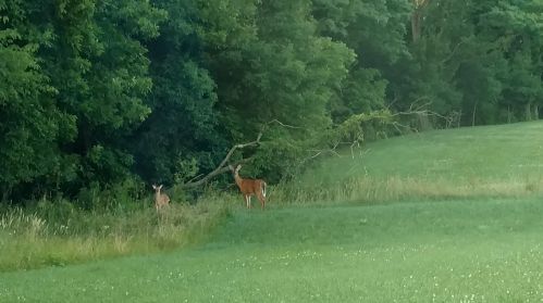 7705 Camp Rd, Mount Vernon OH  43050-9372 exterior