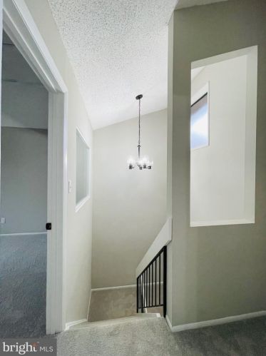 2120 Cartwright Pl, Herndon VA  20191-1903 exterior