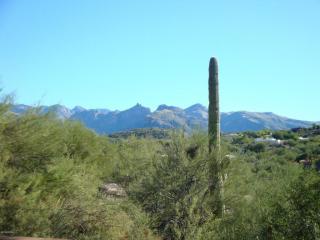 5124 Via Sempreverde, Tucson, AZ 85750-5966