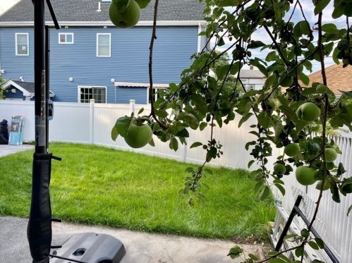 56 Magoun Ave, Medford MA  02155-4854 exterior