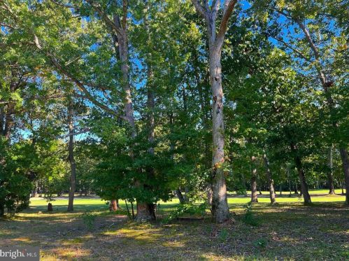 113 Wilson Ave, Blenheim NJ  08012 exterior