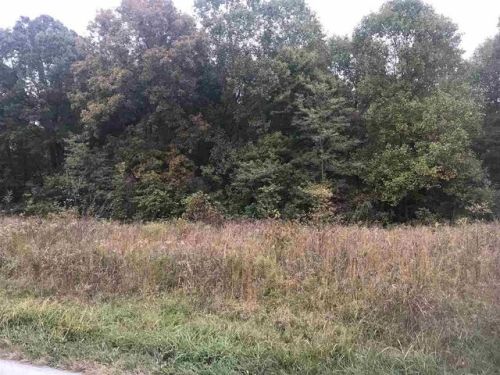 1700 Walkers Chapel Rd, Adolphus, KY 42120-9783