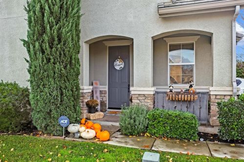 17216 Iron Gate Ln, Lathrop, CA 95330-8669