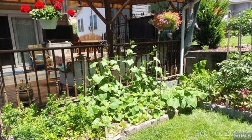 24 Manner Ave, Outwater NJ  07026-1410 exterior