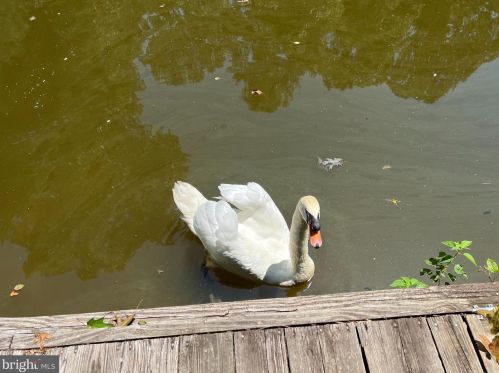 123 Indian Hills Rd, Locust Grove VA  22508-5214 exterior