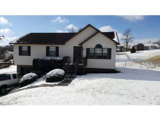 253 Springview Dr, Johnson City, TN 37615-3350