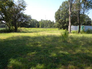 1420 Buena Vista Rd, Leach, TN 38344-3336