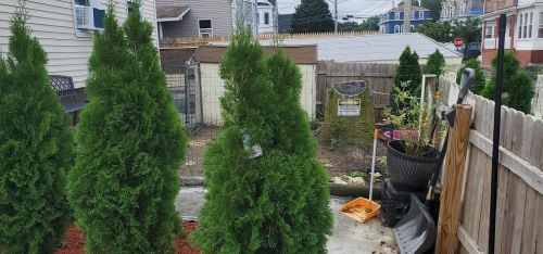 56 Sassafras St, Providence RI  02907-2026 exterior