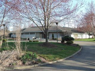 4490 Creekside Dr, Vienna, OH 44473-8603