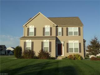 4287 Brownstone Ln, Medina OH  44256-5552 exterior
