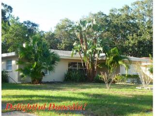 1440 San Charles Dr, Dunedin, FL 34698-4320