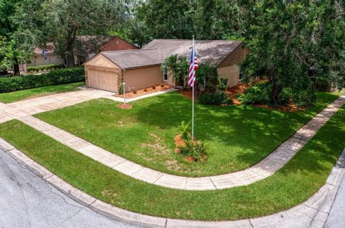 3661 Montclair Dr, Palm Harbor, FL 34684-4726