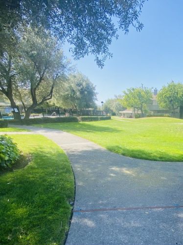 255 Rengstorff Ave, Mountain View CA  94040-1773 exterior