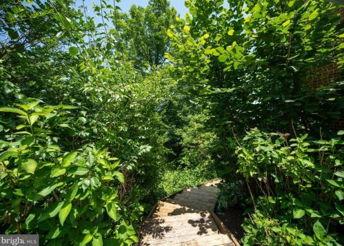 117 Diamond Ct, Harrisonburg VA  22801-3414 exterior