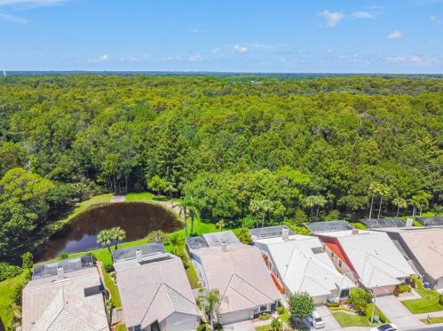 3664 Darston St, Palm Harbor FL  34685-1182 exterior