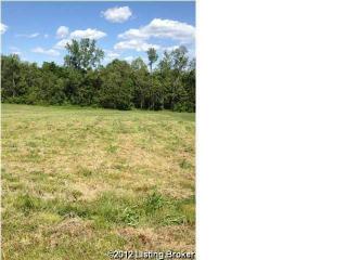 22 Genesis Ln, Guston, KY 40142-6202