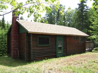 4802 State Route 28n, Newcomb, NY 12852-2030