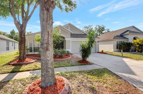 13108 Early Run Ln, Riverview, FL 33578-3387