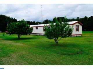 1331 Staytonville Rd, Harrington, DE 19952-1863