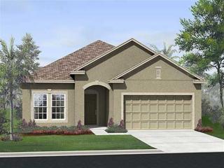 12005 Whistling Wind Dr, Riverview FL  33569-4802 exterior