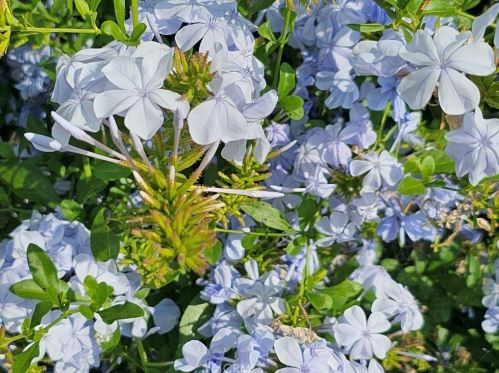 6758 Dwight Way, San Bernardino CA  92404-5536 exterior