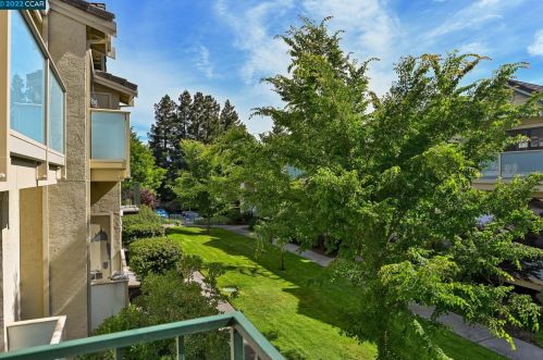 314 Borel Ln, Danville CA  94526-5566 exterior