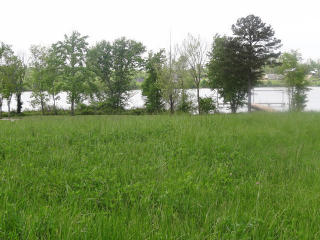 8273 Georgetown Bay Dr, College Dale, TN 37363-9585