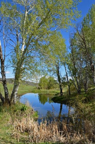 26050 Old Stage Trl, Oak Creek, CO 80467-9740