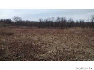 8001 River Rd, Industry, NY 14543-9430