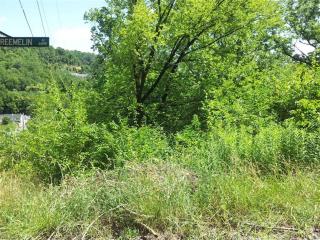 4670 Reemelin Ave, Cincinnati, OH 45223-1530