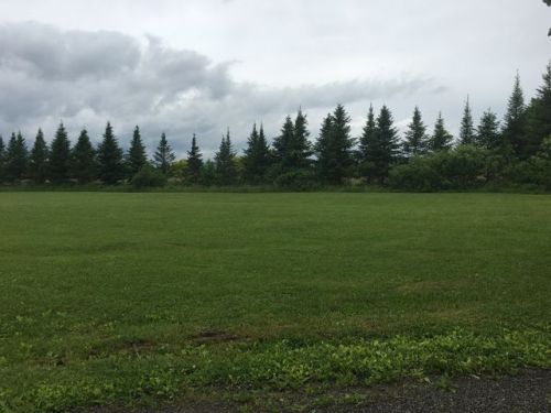 6531 Florence Ln, Livonia, NY 14487-9330