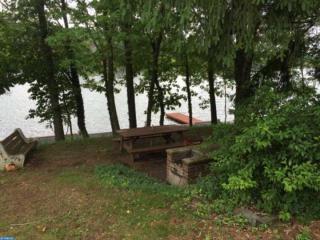 1482 Bearcat Cv, Brommerstown, PA 17922-9260