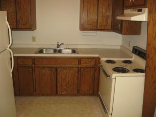 1340 13th Street Cir, Sauk Rapids MN  56379-1374 exterior