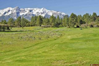 46 Marmot Ct, Ridgway, CO 81432-8400