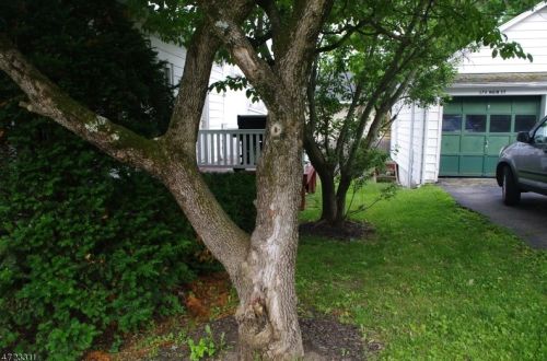 176 Main St, Fredon NJ  07860-1916 exterior