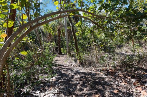 1230 Blue Hill Creek Dr, Marco Island FL  34145-1708 exterior