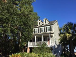 2117 Virginia Oak Ct, Charleston SC  29414-6155 exterior