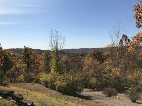 499 Jo Ann Ln, Grants Lick KY  41001-8921 exterior