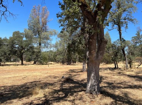 6321 Upper Palermo Rd, Oroville CA  95966-9017 exterior